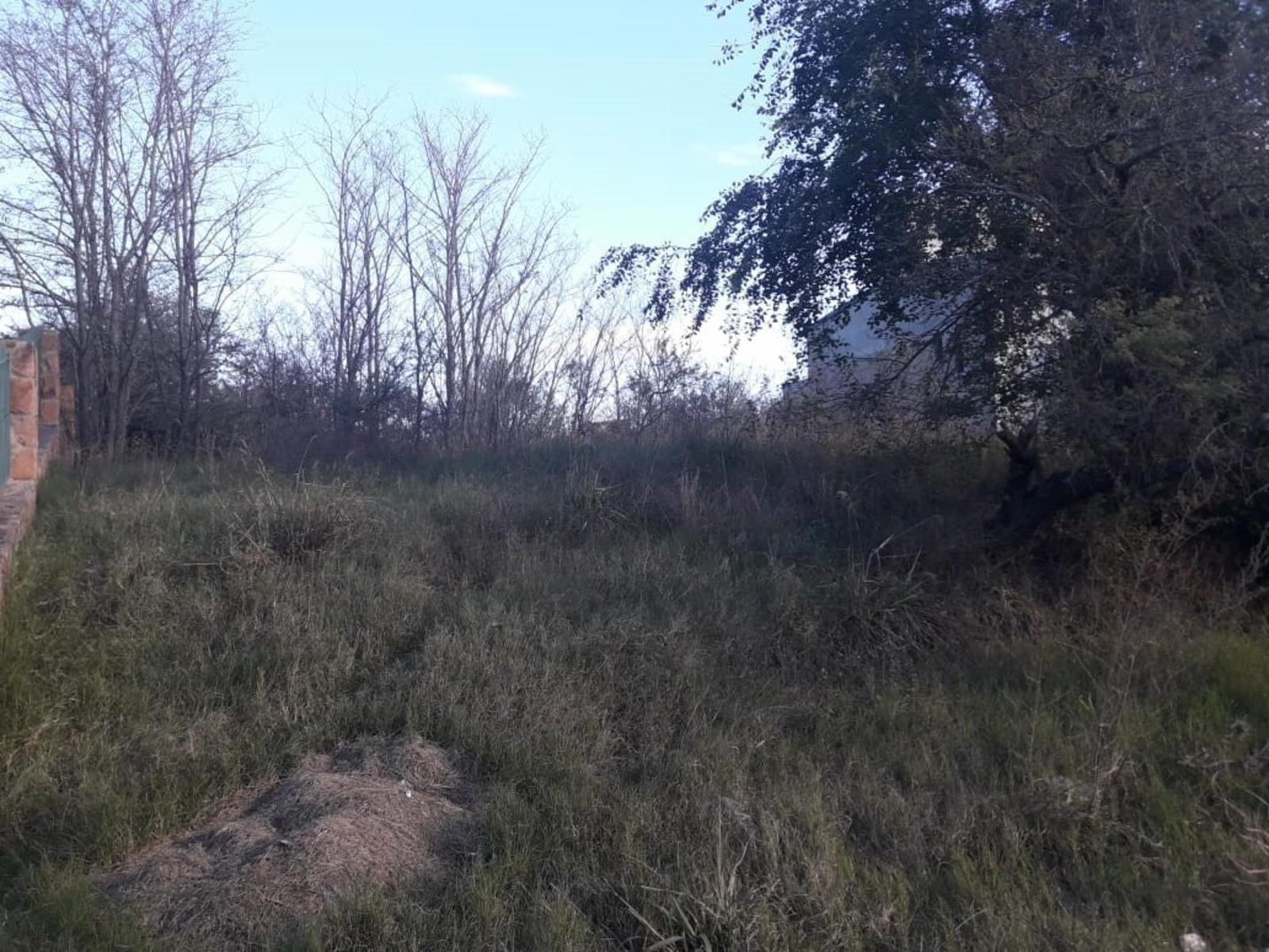 HERMOSO LOTE , en san antonio de arredondo, a 1 cuadra de la ruta, municipalidad, dispensario, con todos los servicios, alumbrado publico, MUY BUEN ENTORNO — foto 5