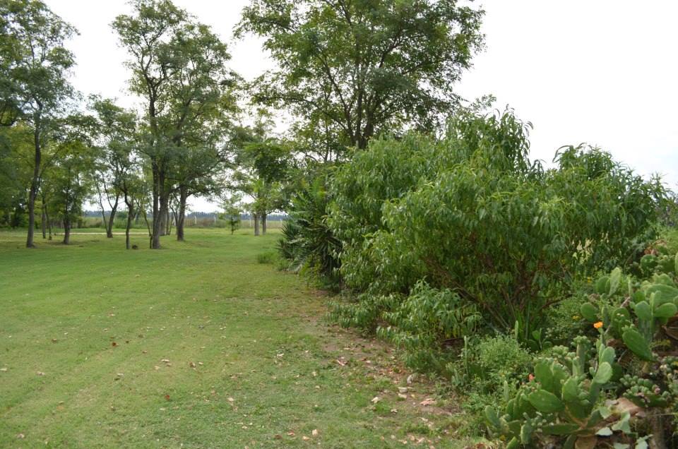 Lote en venta (club de campo Las Hojas) - Marcos paz - RP6 Km 129 - Pcia.Bs.As — foto 4
