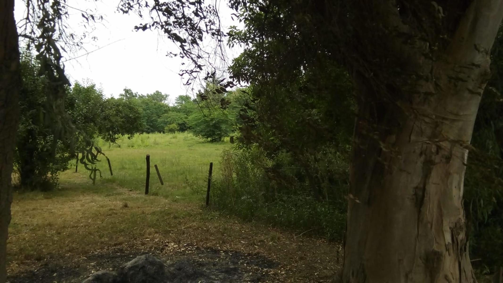 Lote en venta 10.000m2 - Marcos Paz - Pcia Bs.As. — foto 2
