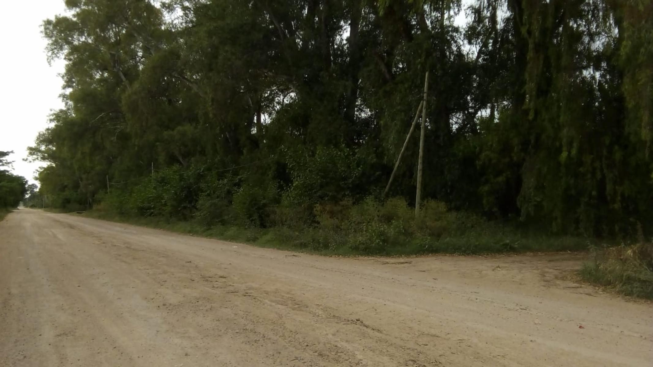 Lote en venta 10.000m2 - Marcos Paz - Pcia Bs.As. — foto 3