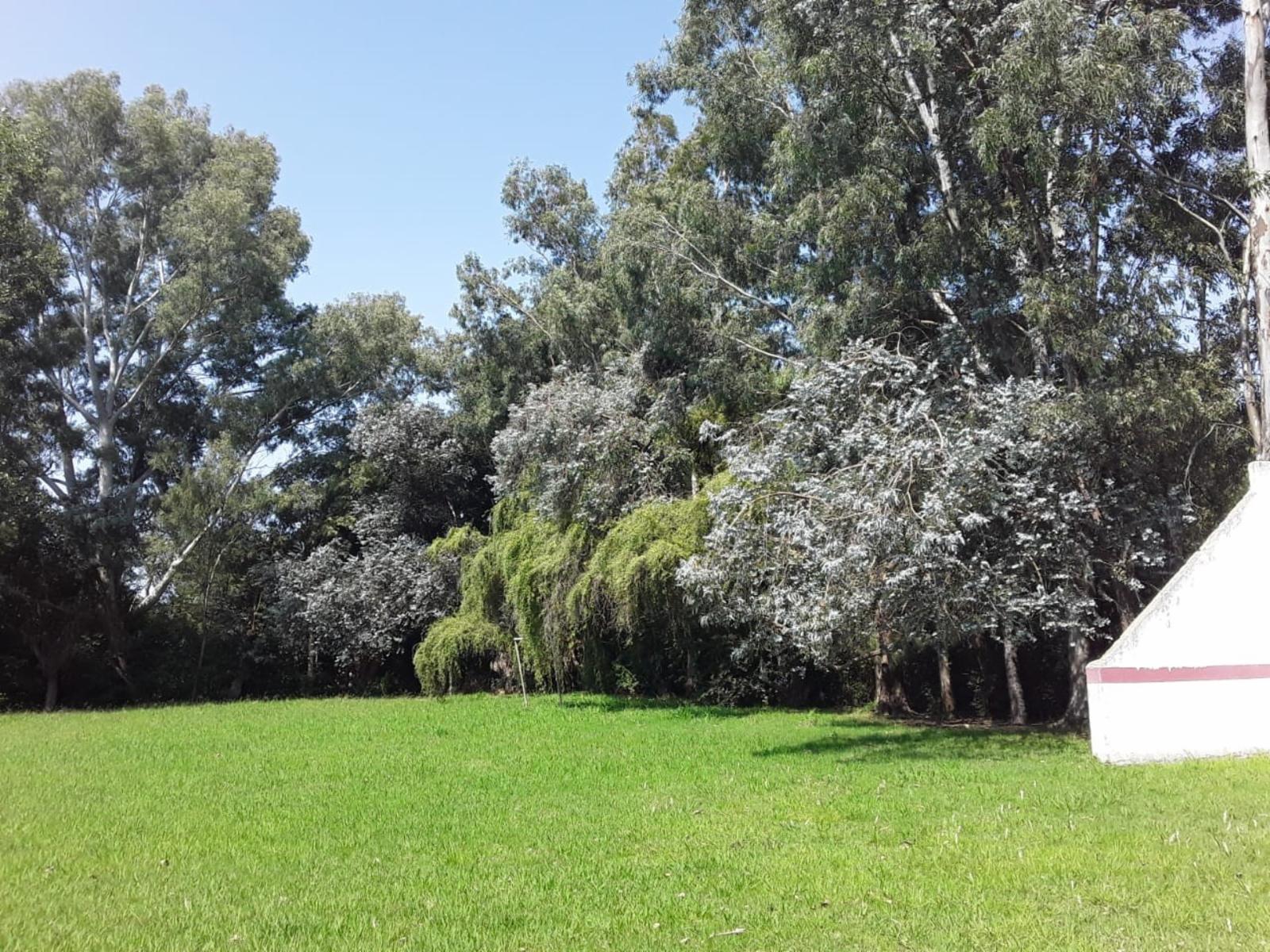 2 LOTES en Venta - Marcos Paz - Provincia de Buenos Aires. — foto 4