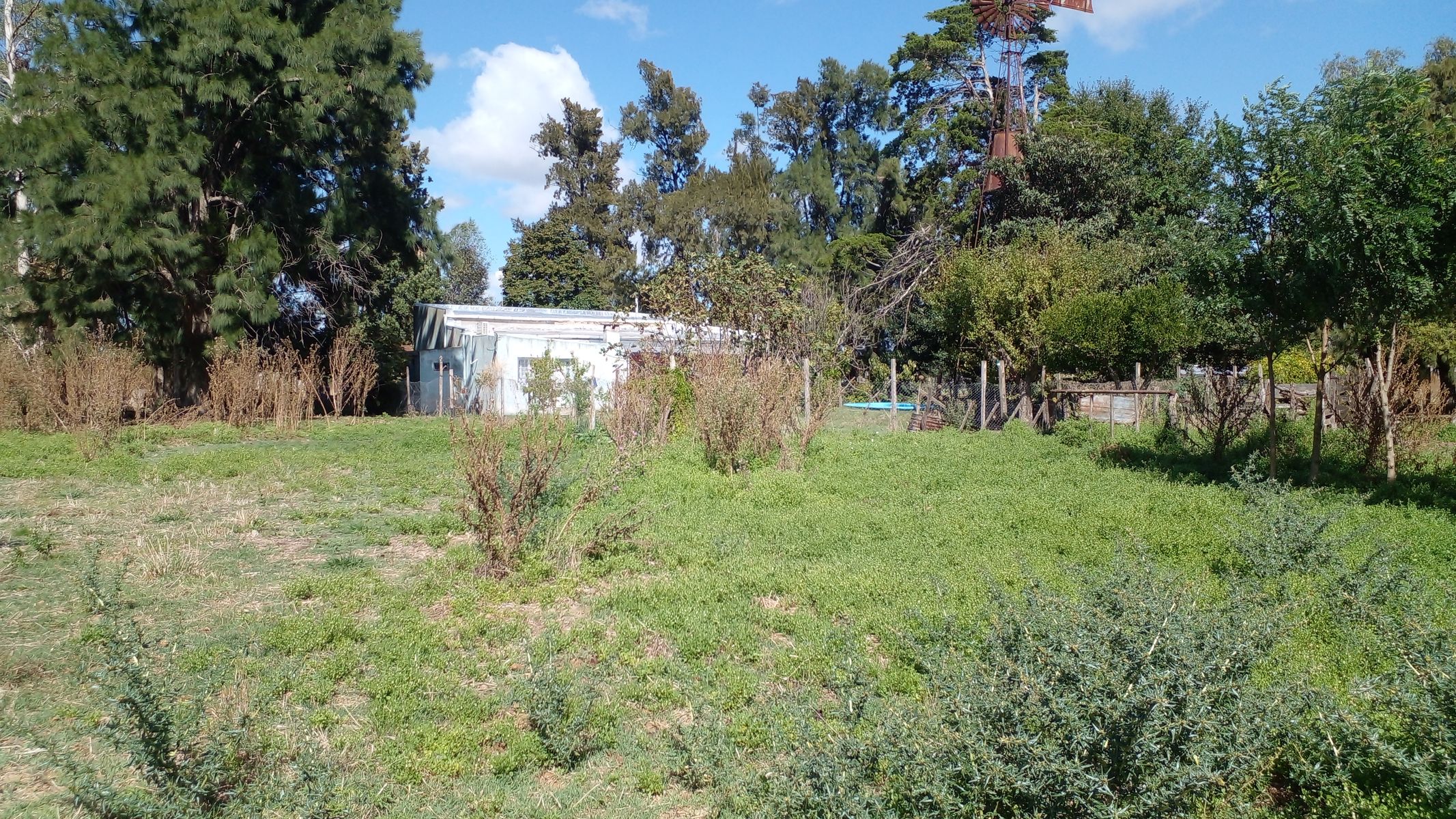 FRACCION DE 9.7 HECTAREAS EN VENTA - Ideal desarrollo inmobiliario - Lisandro Olmos - La Plata - Pcia. de Buenos Aires - 10