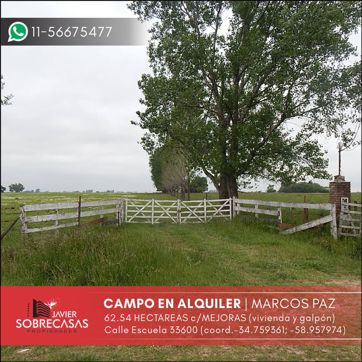 CAMPO EN ALQUILER 62has c/mejoras - Marcos Paz - Pcia. Buenos Aires - 1