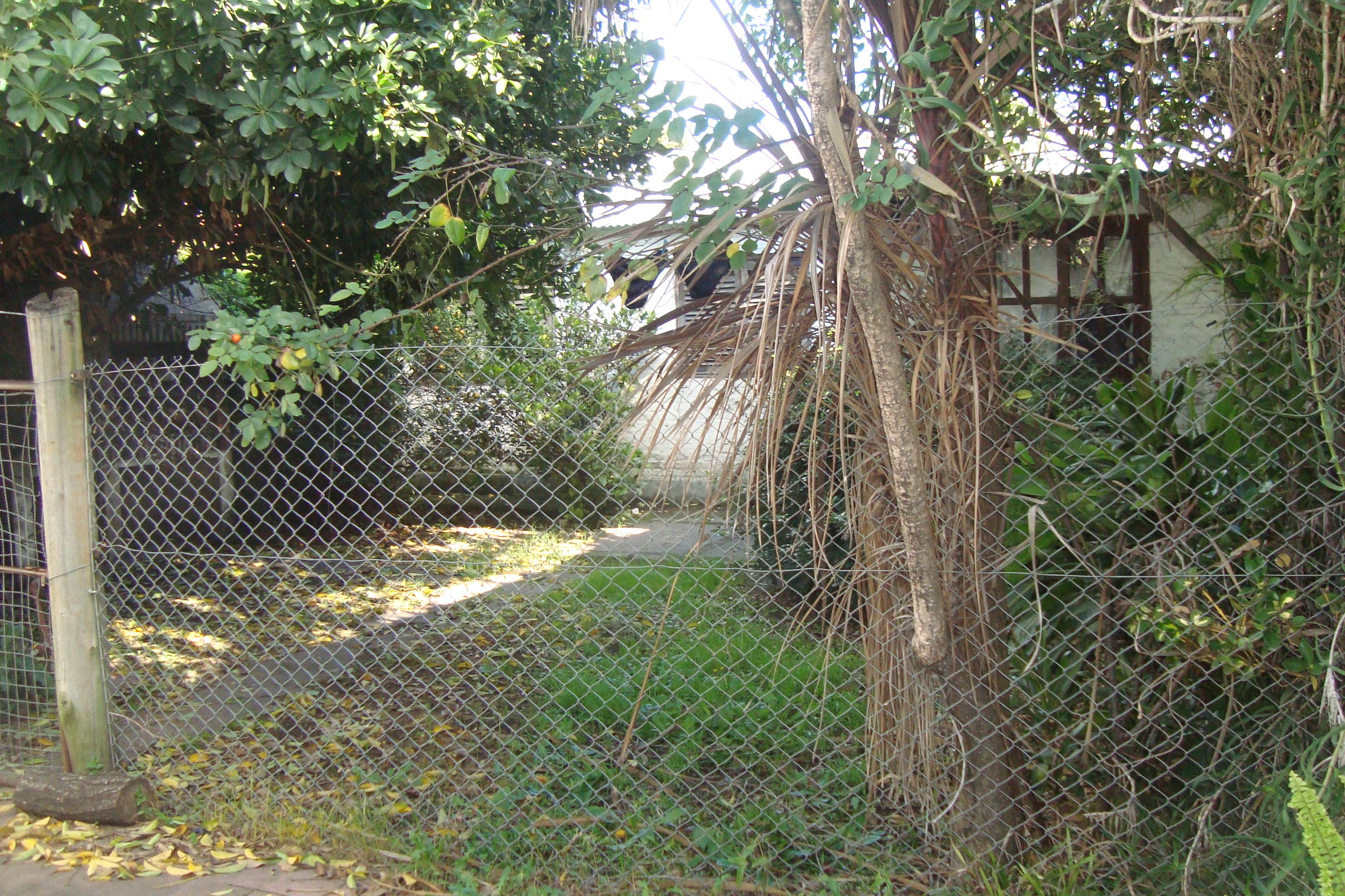 ADROGUE: OPORTUNIDAD !! CASA C/4 DORMIT,GARAJE Y DEPTO FDO C/3 HABITAC.EXC UBICAC.IDEAL VIVIENDA O DESARROLLO INMOBILIARIO. APTO CRED.HIP.GALICIA/SANTANDER — foto 3