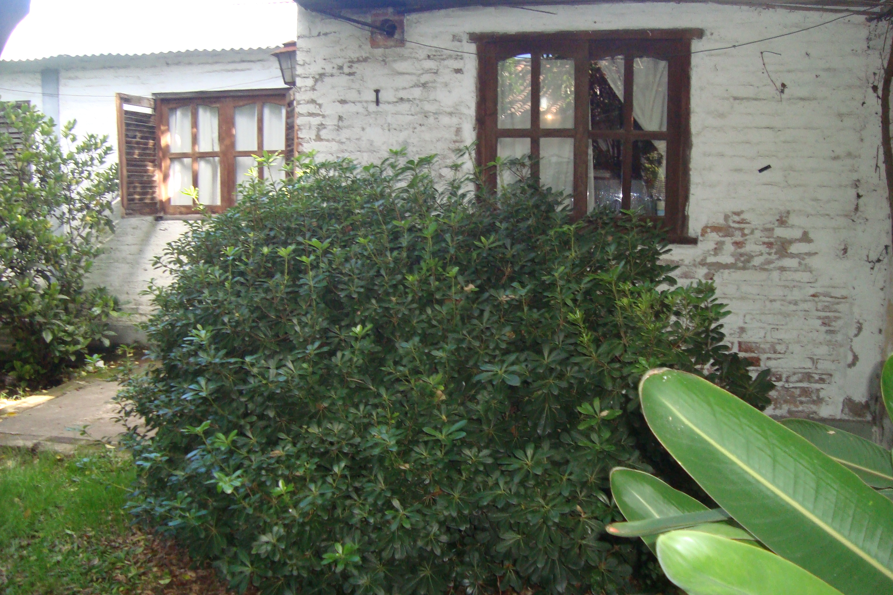 ADROGUE: OPORTUNIDAD !! CASA C/4 DORMIT,GARAJE Y DEPTO FDO C/3 HABITAC.EXC UBICAC.IDEAL VIVIENDA O DESARROLLO INMOBILIARIO. APTO CRED.HIP.GALICIA/SANTANDER — foto 5