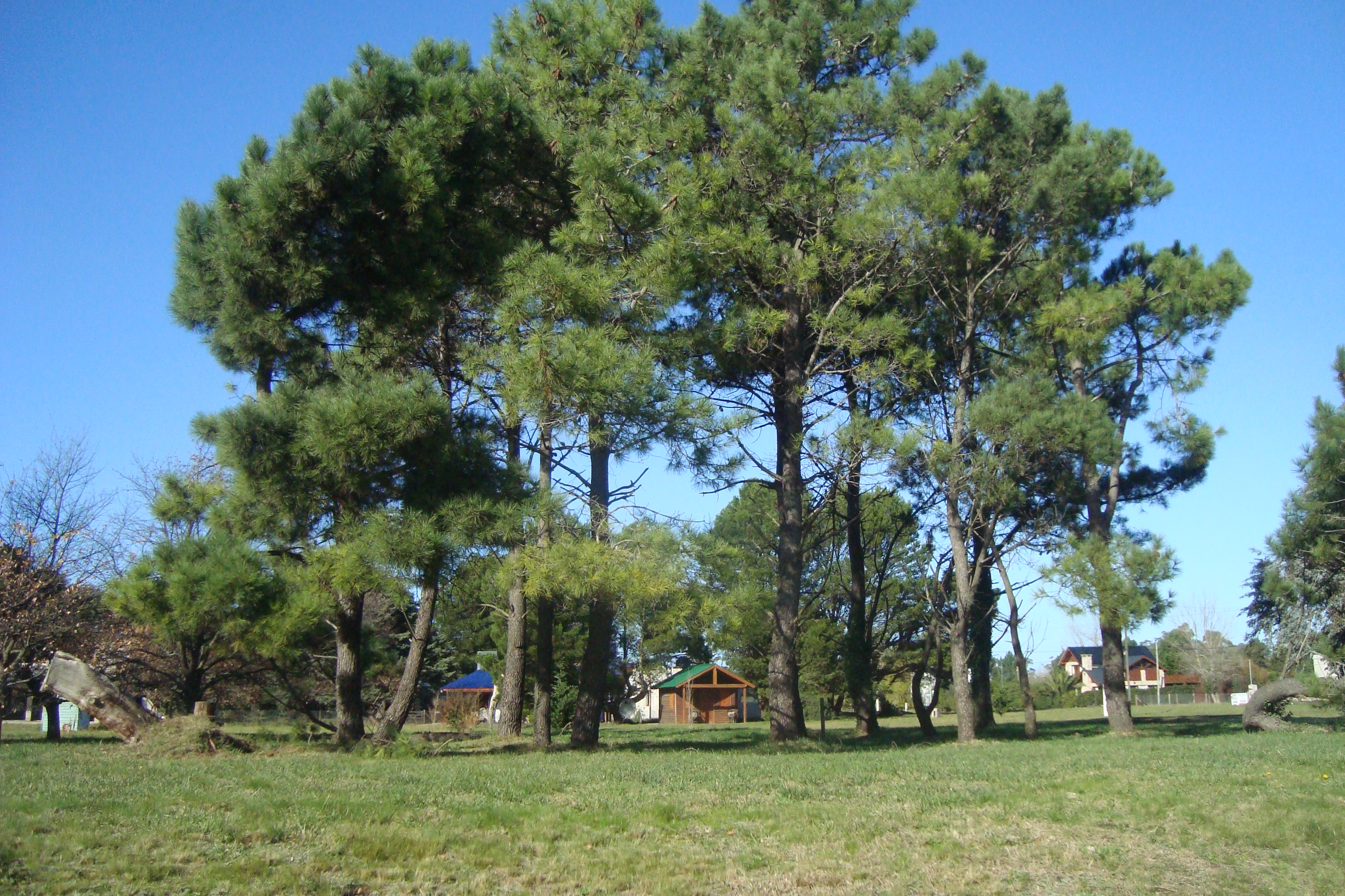 MIRAMAR: BARRIO RESIDENCIAL " LAS LOMAS" :LOTES DESDE 400M2 C/ESCRITURA. ANTICIPO + CUOTAS FIJAS EN PESOS - 5