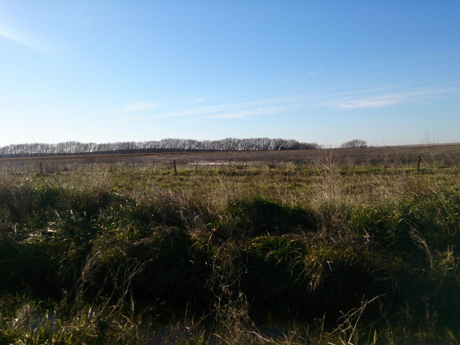 AZUL: CAMPO SANTA TERESITA, APTO SIEMBRA, 324 HECTAREAS. SE ESCUCHA PROPUESTA RAZONABLE - 4