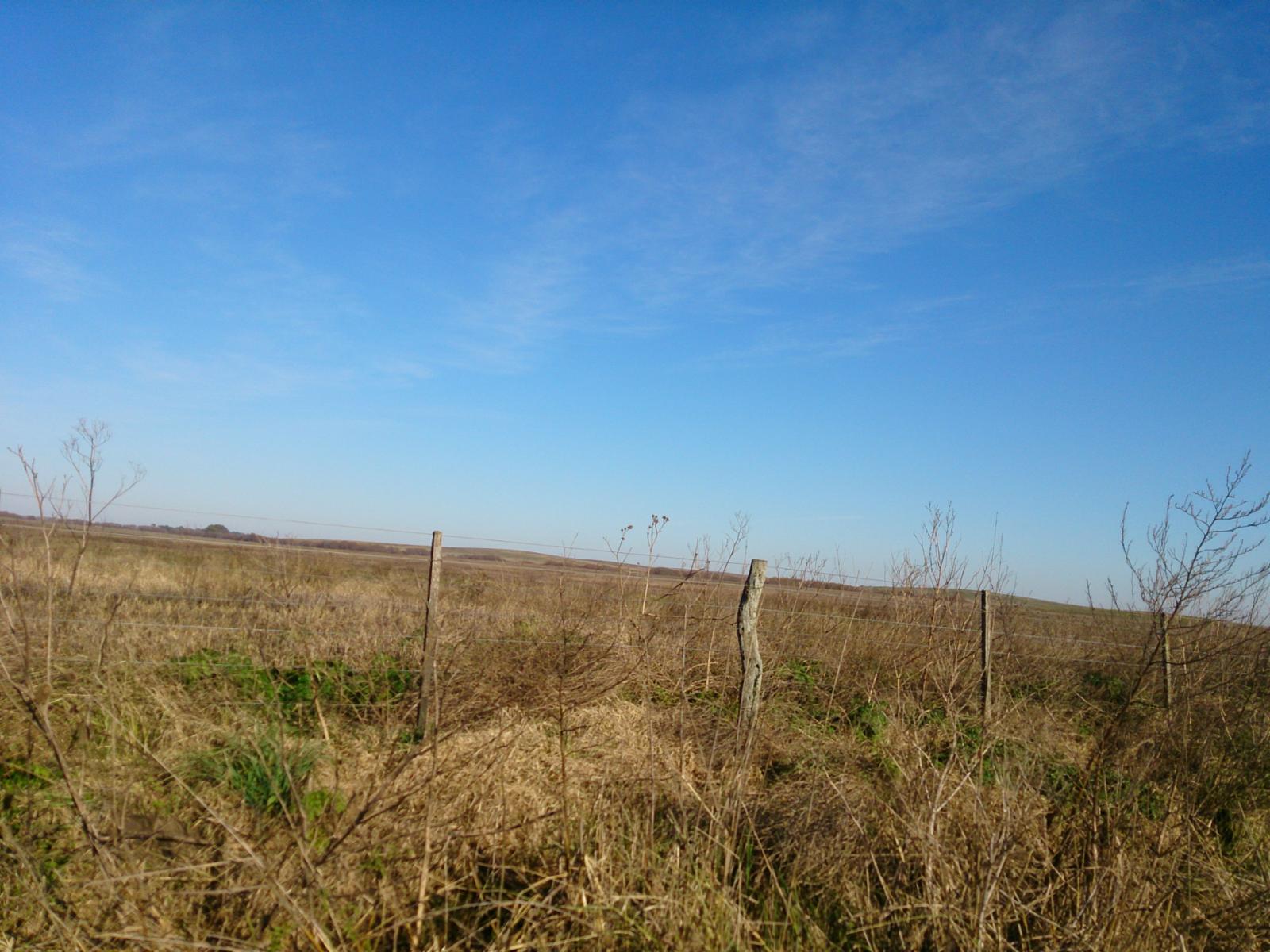 AZUL: CAMPO SANTA TERESITA, APTO SIEMBRA, 324 HECTAREAS. SE ESCUCHA PROPUESTA RAZONABLE - 5