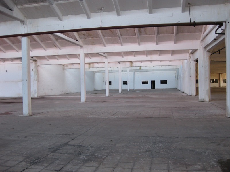 LAVALLOL. Predio Industrial de 93.000 m2 y 30.000 m2 construidos. 1200 m2 de Oficinas. Unico en la Zona — foto 4