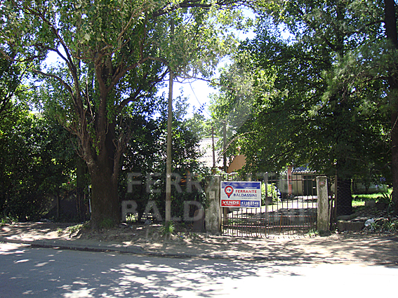 ESTEBAN ECHEVERRIA - CASA CON HERMOSO PARQUE Y PILETA . EXCELENTE UBICACIÓN A METROS DE AV. DE LA TRADICION (RUTA 4). ARBOLEDA AÑOSA CON FRUTALES. IDEAL EMPRENDIMIENTO INMOBILIARIO Y/O INVERS — foto 5