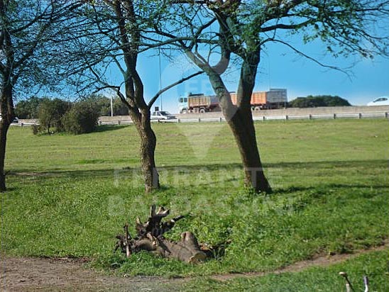 EL JAGUEL - Lote sobre EL DESVIO - CASI la ruta 205 - Escriturado — foto 4