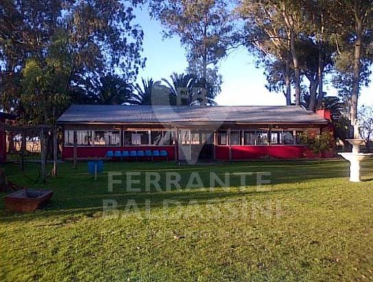 MAGDALENA - 2 Hras. con 2 casas con piletas ideal emprendimiento - quincho salon p/200 personas - 2