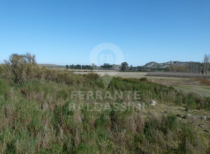Tandil Cerro Leones 52 has, ideal desarrollo urbanístico, country, loteo - Ruta 30 son 32 has agricolas, resto ganadero.con alambrado perimetral - 1
