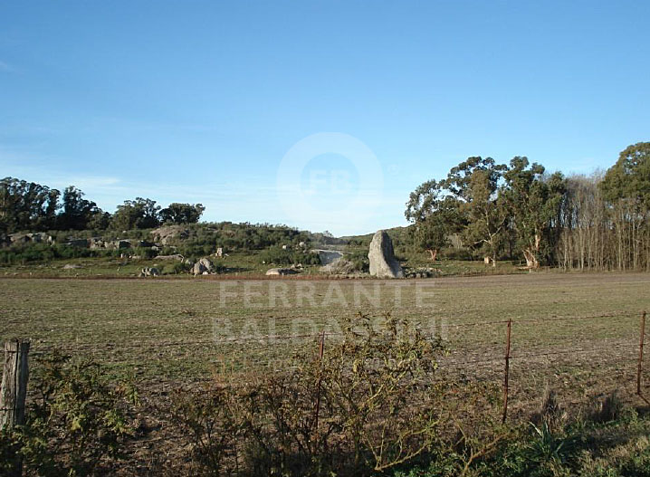 Tandil Cerro Leones 52 has, ideal desarrollo urbanístico, country, loteo - Ruta 30 son 32 has agricolas, resto ganadero.con alambrado perimetral - 2