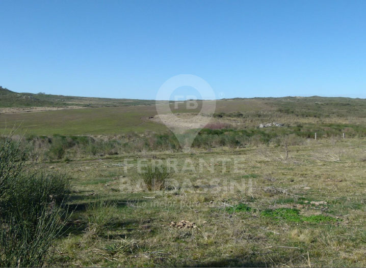 Tandil Cerro Leones 52 has, ideal desarrollo urbanístico, country, loteo - Ruta 30 son 32 has agricolas, resto ganadero.con alambrado perimetral - 3