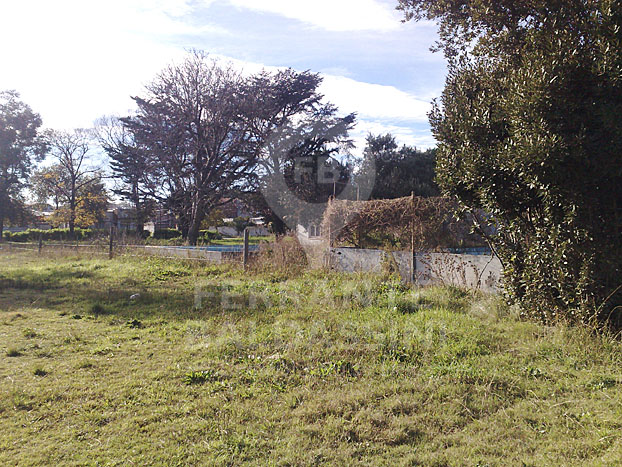 MAR DEL PLATA - Predio de 8800 m2 con loteo armado y varias construcciones disponibles!
Son mas de 11 lotes! Ideal inversor - Para escriturar — foto 2