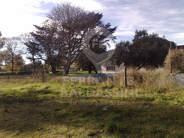 MAR DEL PLATA - Predio de 8800 m2 con loteo armado y varias construcciones disponibles!
Son mas de 11 lotes! Ideal inversor - Para escriturar — foto 3