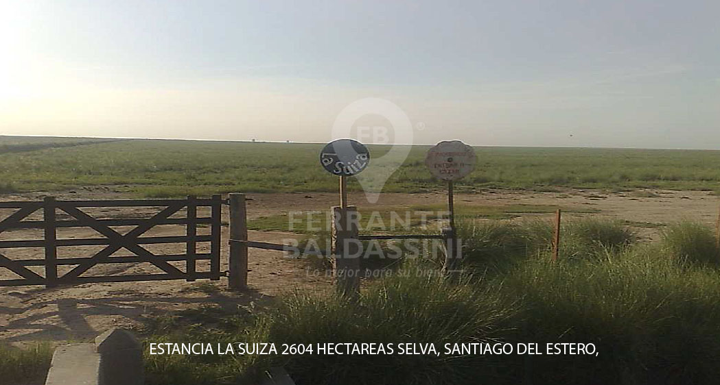 Estancia la Suiza - 2604 Hras. Santiago del Estero - GALPON Y TINGLADOS PARA HERRAMIENTAS. INSTALACIONES GANADERAS COMPLETAS (MANGA, CORRALES, CARGADOR) - 1