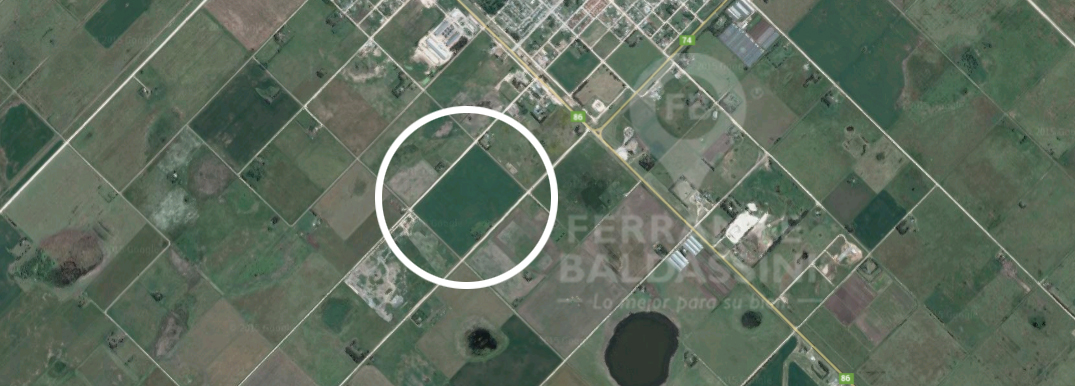 BENITO JUAREA - 22 HECTARESAS SOBRE RUTA 86 y RUTA 74 - 85% AGRICOLA - 2