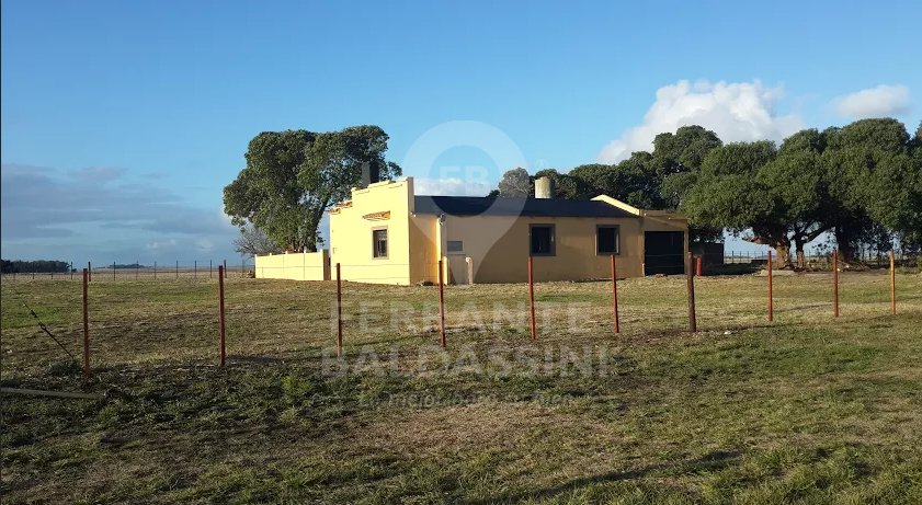 CAMPO AGRÍCOLA DE 17 HAS. EN MECHONGÉ - A 1 HORA DE MAR DEL PLATA / CASA RECICLADA / BUENA TIERRA / EXCELENTES ALAMBRADOS - CERCA DE MIRAMAR - 1