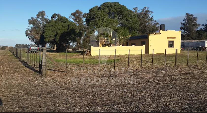 CAMPO AGRÍCOLA DE 17 HAS. EN MECHONGÉ - A 1 HORA DE MAR DEL PLATA / CASA RECICLADA / BUENA TIERRA / EXCELENTES ALAMBRADOS - CERCA DE MIRAMAR - 2