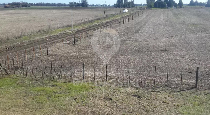 CAMPO AGRÍCOLA DE 17 HAS. EN MECHONGÉ - A 1 HORA DE MAR DEL PLATA / CASA RECICLADA / BUENA TIERRA / EXCELENTES ALAMBRADOS - CERCA DE MIRAMAR - 3