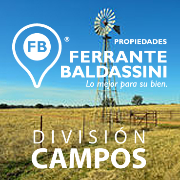 CAMPO AGRÍCOLA DE 167 HECTÁREAS A 6 KM. DE OLAVARRÍA - SOBRE RIÓ TAPALQUÉ - 1