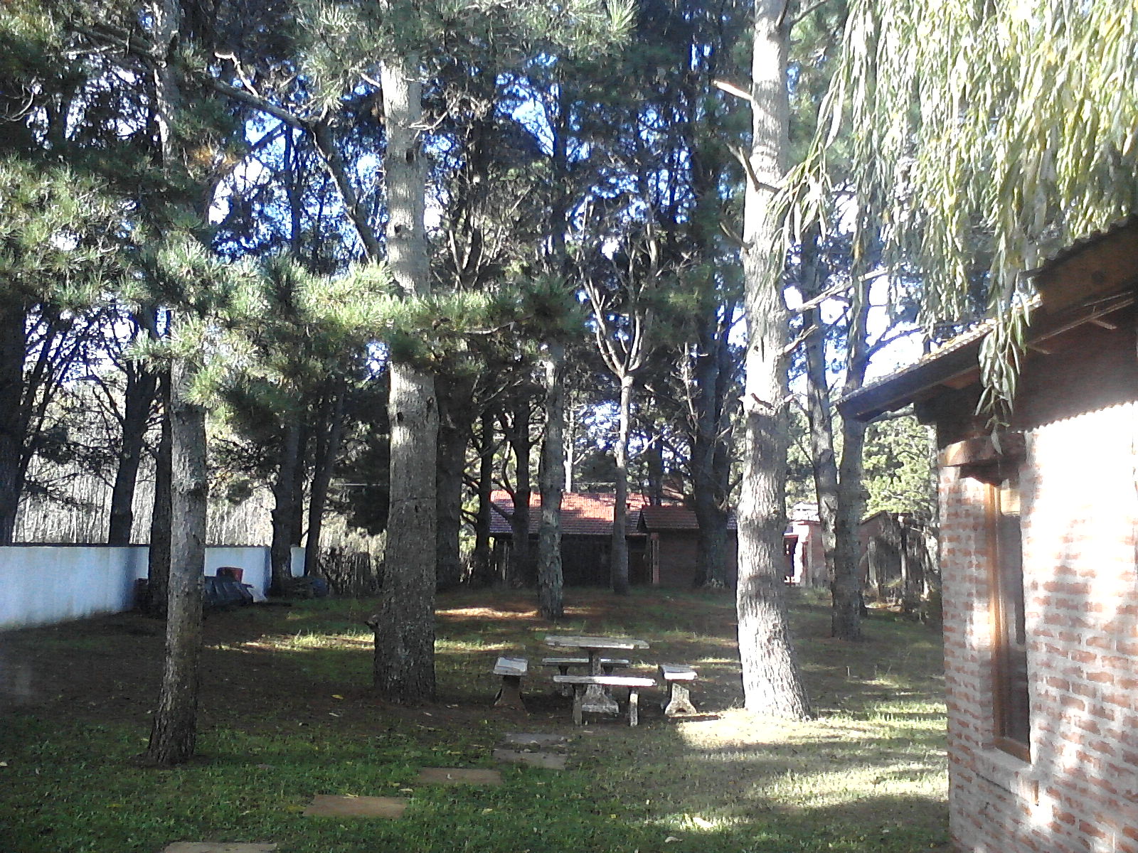 Costa del Este: Hermoso chalet estilo campo, con añosa arboleda — foto 4