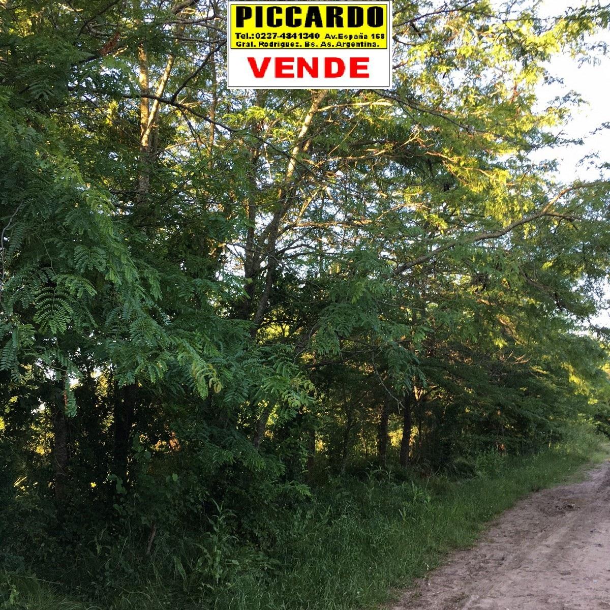 DOS LOTES TERRENOS EN VENTA Bº PARQUE JOLY REF.1331 GRAL. RODRIGUEZ PICCARDO — foto 4