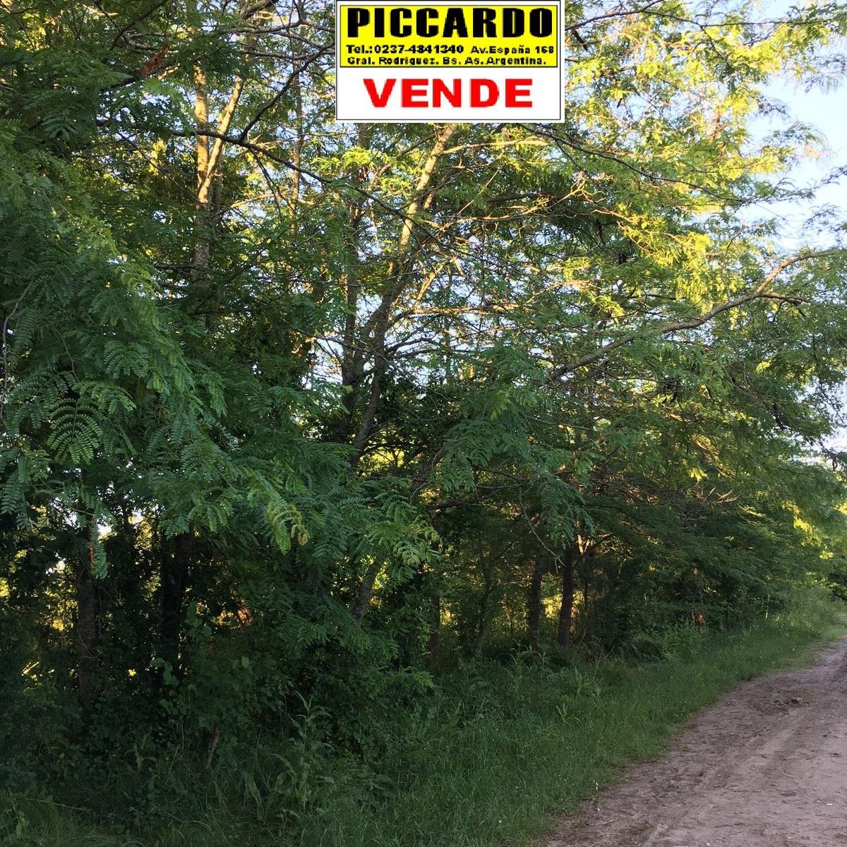 DOS LOTES TERRENOS EN VENTA Bº PARQUE JOLY REF.1331 GRAL. RODRIGUEZ PICCARDO — foto 5