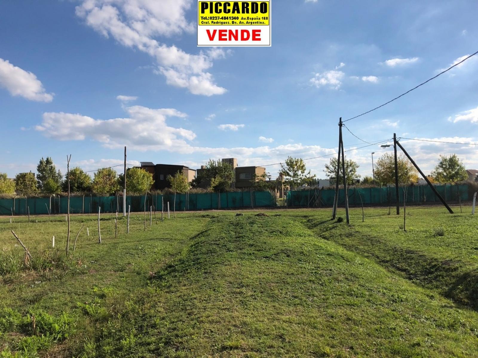 DOS LOTES TERRENOS EN VENTA Bº LOS AROMOS REF.1388 GRAL. RODRÍGUEZ PICCARDO — foto 3