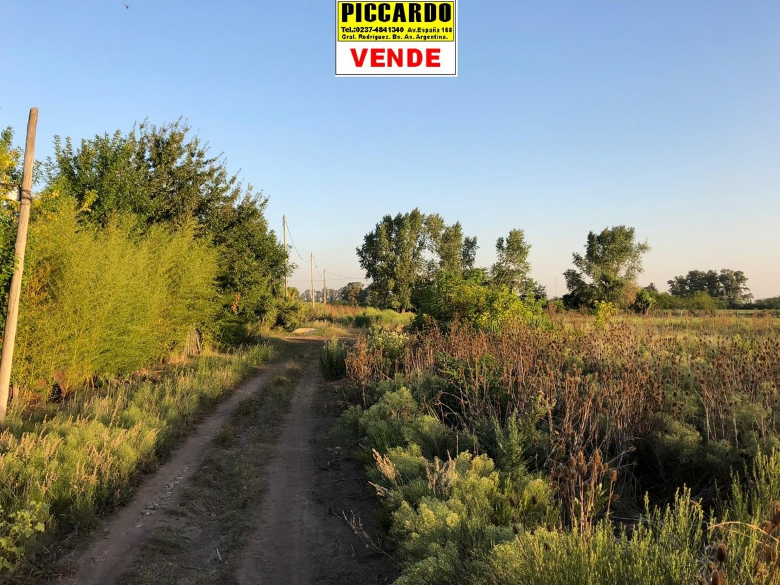 DOS LOTES TERRENOS EN VENTA Bº VILLA ITA REF. 1384 GRAL. RODRÍGUEZ PICCARDO — foto 2