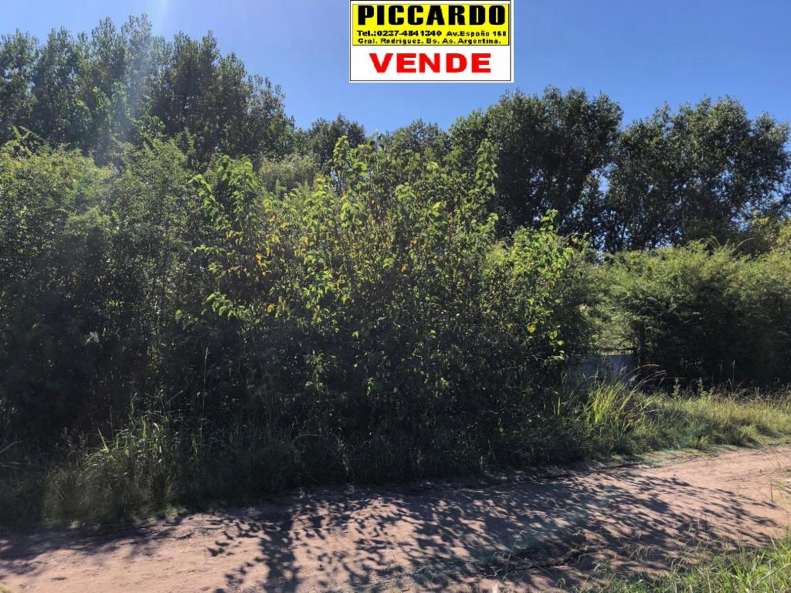 LOTE TERRENO EN VENTA B LOS AROMOS REF. AR58 GRAL. RODRÍGUEZ PICCARDO — foto 3