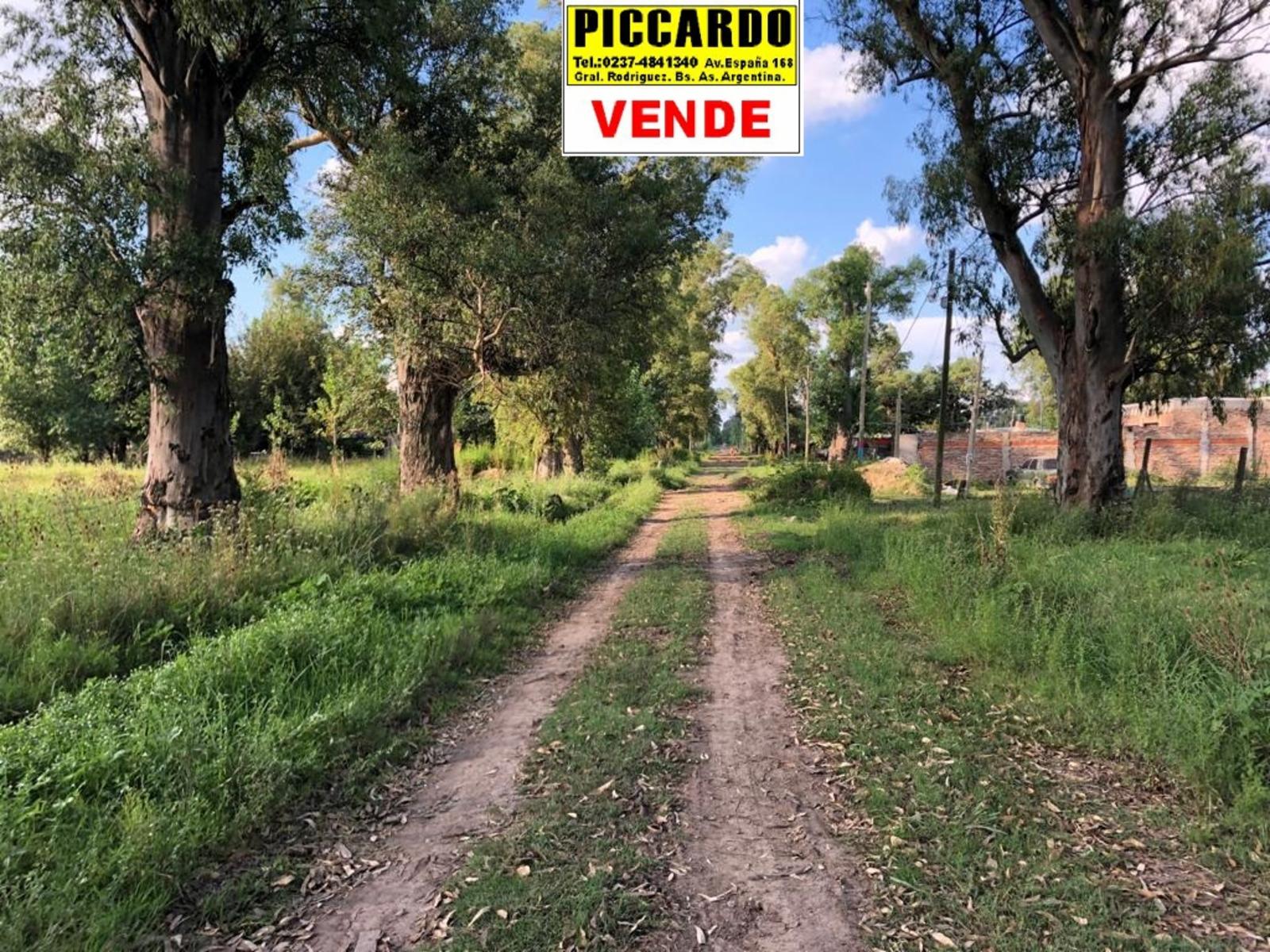 DOS LOTES EN VENTA Bº ALTOS DEL OESTE REF.AR60 GRAL RODRIGUEZ PICCARDO. — foto 2