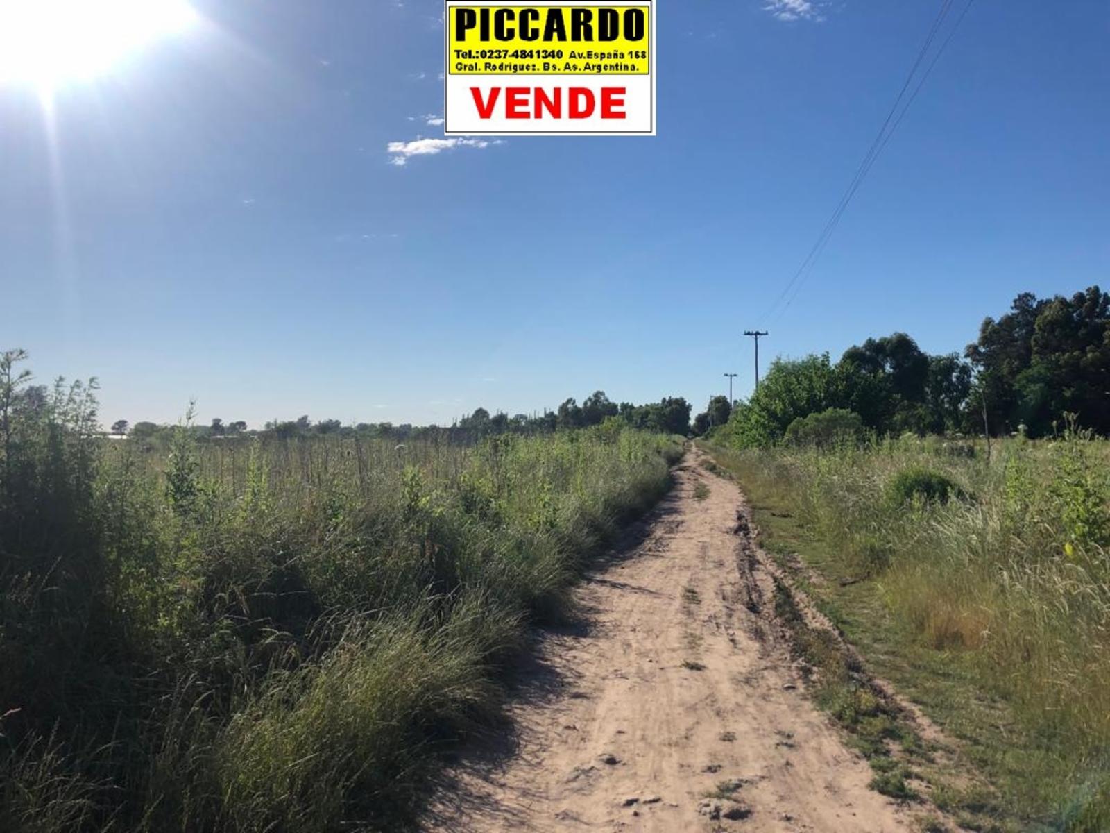 CINCO LOTES EN VENTA Bº SAN CARLOS REF.AR57 GRAL RODRIGUEZ PICCARDO. — foto 2