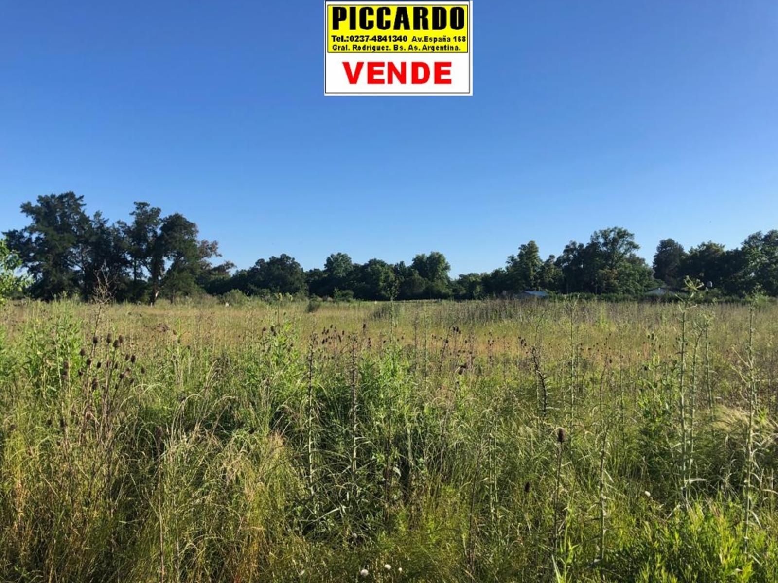 CINCO LOTES EN VENTA Bº SAN CARLOS REF.AR57 GRAL RODRIGUEZ PICCARDO. — foto 4