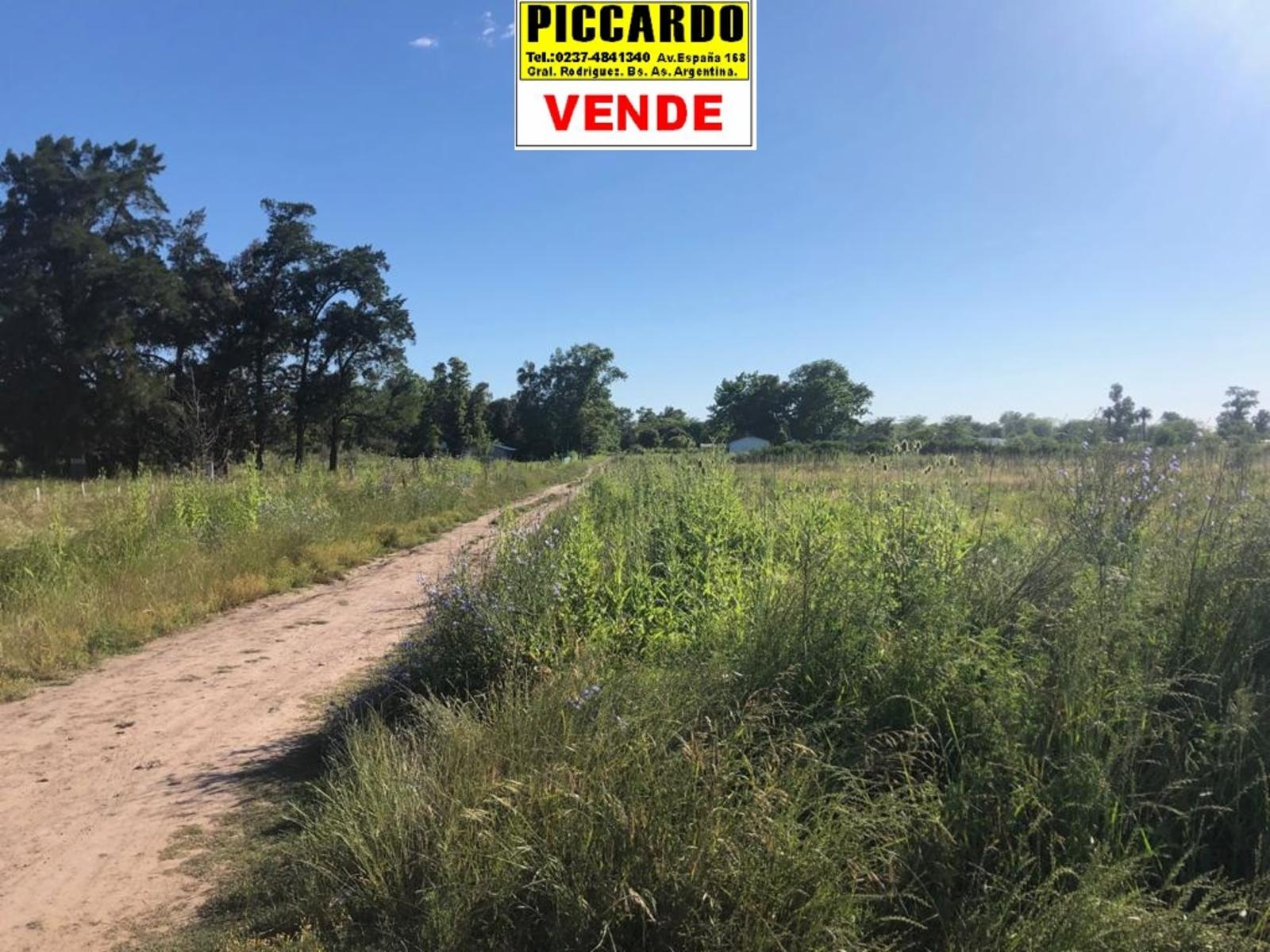 CINCO LOTES EN VENTA Bº SAN CARLOS REF.AR57 GRAL RODRIGUEZ PICCARDO. — foto 6