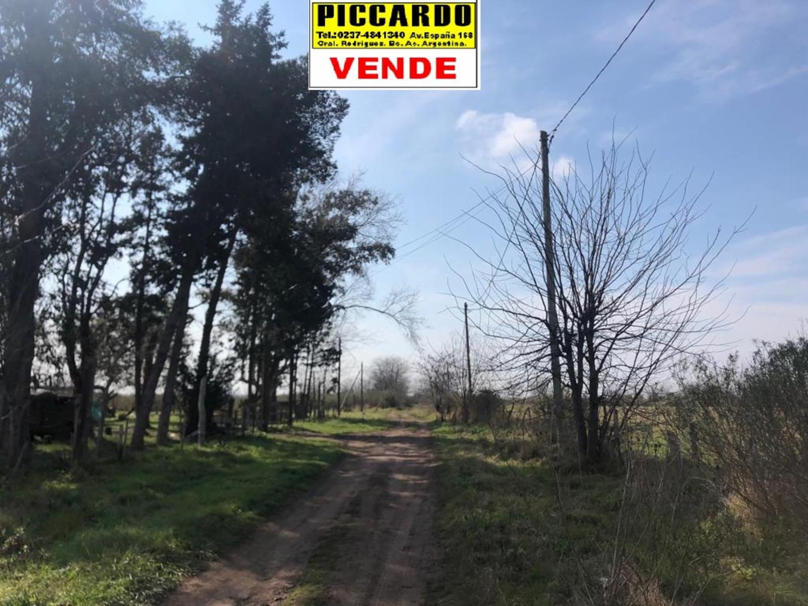 DOS LOTES EN VENTA Bº SAN CARLOS REF.AR70 GRAL RODRIGUEZ PICCARDO. — foto 2