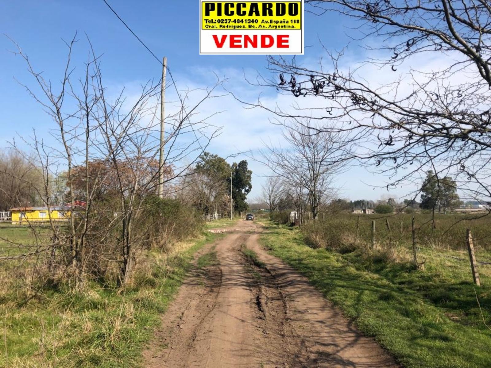 DOS LOTES EN VENTA Bº SAN CARLOS REF.AR70 GRAL RODRIGUEZ PICCARDO. — foto 3
