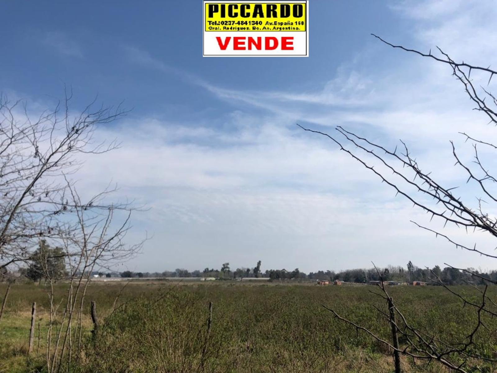DOS LOTES EN VENTA Bº SAN CARLOS REF.AR70 GRAL RODRIGUEZ PICCARDO. — foto 5
