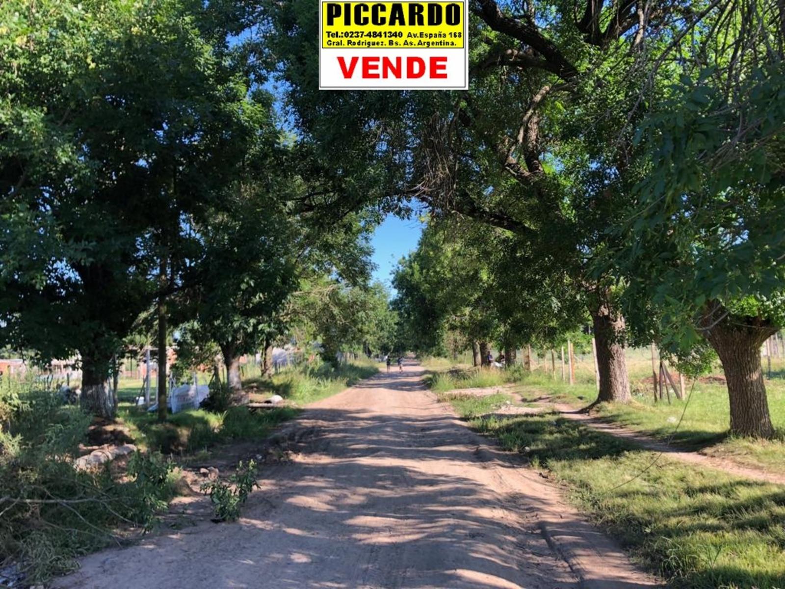 LOTE EN VENTA Bº VISTA LINDA REF.AR74 GRAL RODRIGUEZ PICCARDO. — foto 2