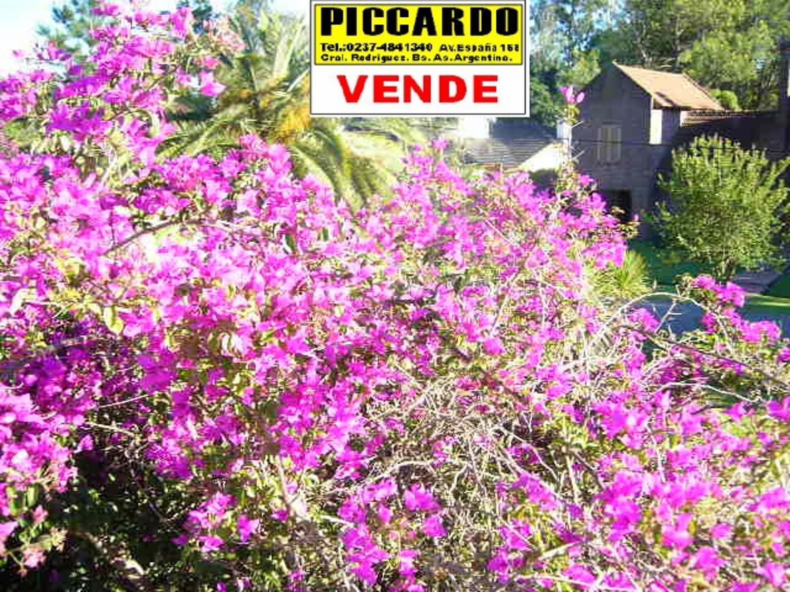 MANSIÓN A RECICLAR EN VENTA GOLFERS COUNTRY CLUB PILAR REF. 1357 PICCARDO. — foto 6