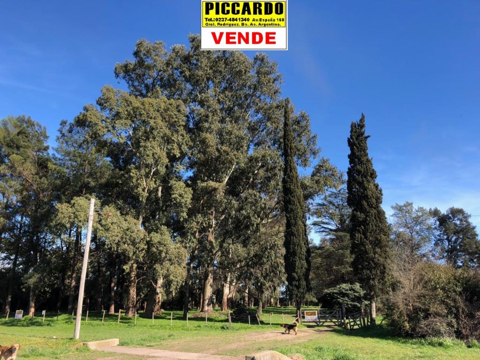 CAMPO FRACCIÓN 3 HAS CON CASAS Y GALPONES EN VENTA SOBRE RUTA 24 REF.1393 ZONA INDUSTRIAL. GRAL. RODRÍGUEZ PICCARDO