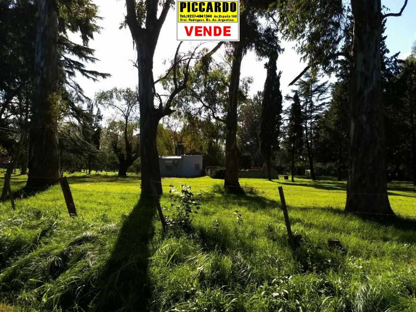 CAMPO FRACCIÓN 3 HAS CON CASAS Y GALPONES EN VENTA SOBRE RUTA 24 REF.1393 ZONA INDUSTRIAL. GRAL. RODRÍGUEZ PICCARDO — foto 2