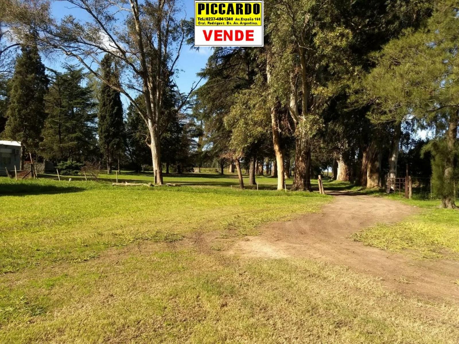 CAMPO FRACCIÓN 3 HAS CON CASAS Y GALPONES EN VENTA SOBRE RUTA 24 REF.1393 ZONA INDUSTRIAL. GRAL. RODRÍGUEZ PICCARDO — foto 3