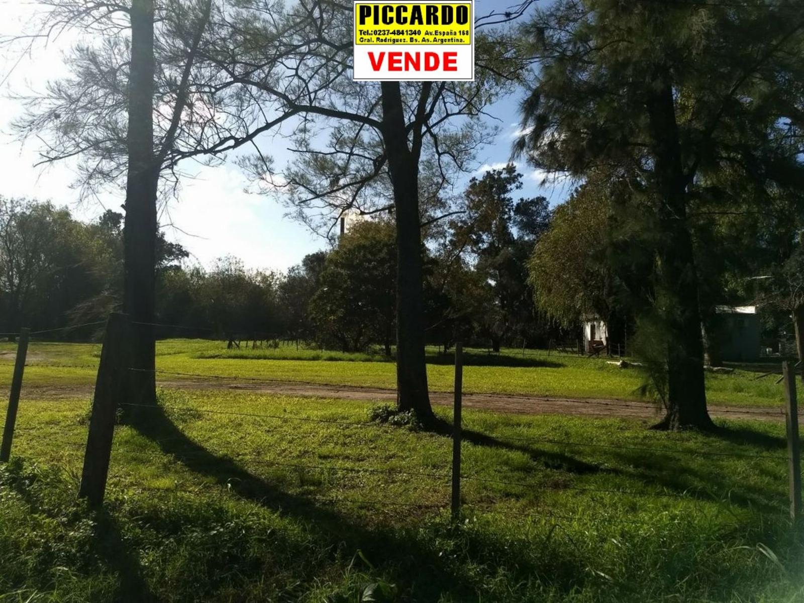 CAMPO FRACCIÓN 3 HAS CON CASAS Y GALPONES EN VENTA SOBRE RUTA 24 REF.1393 ZONA INDUSTRIAL. GRAL. RODRÍGUEZ PICCARDO — foto 5