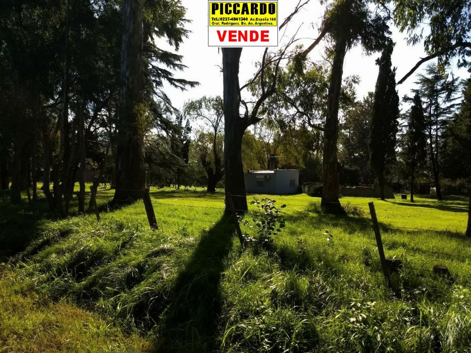 CAMPO FRACCIÓN 3 HAS CON CASAS Y GALPONES EN VENTA SOBRE RUTA 24 REF.1393 ZONA INDUSTRIAL. GRAL. RODRÍGUEZ PICCARDO — foto 9