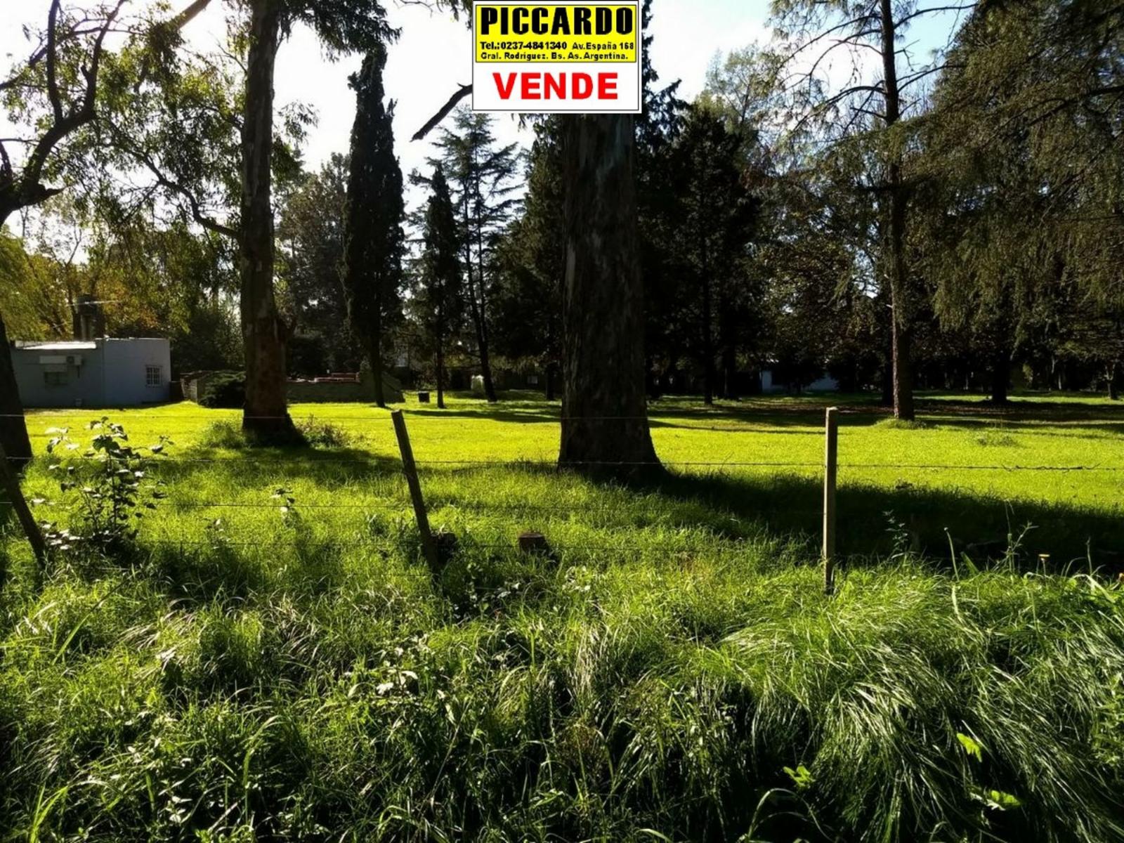 CAMPO FRACCIÓN 3 HAS CON CASAS Y GALPONES EN VENTA SOBRE RUTA 24 REF.1393 ZONA INDUSTRIAL. GRAL. RODRÍGUEZ PICCARDO — foto 11