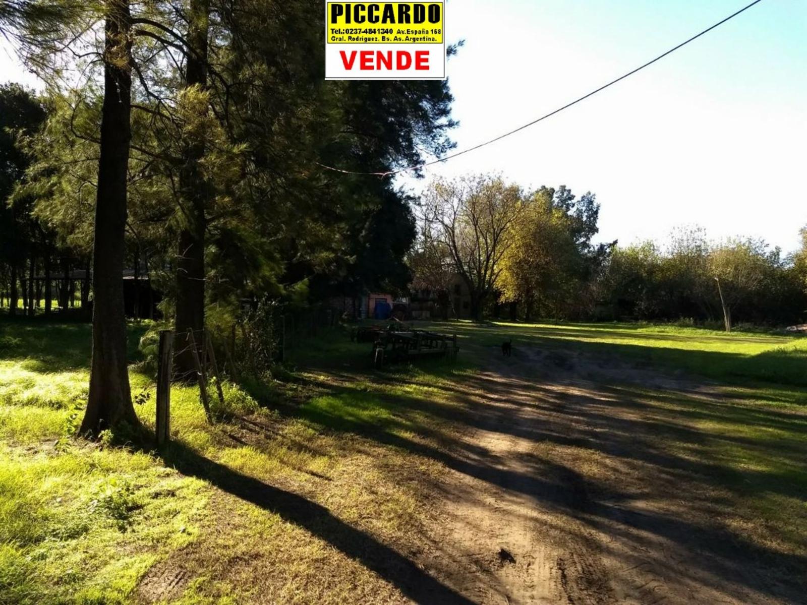 CAMPO FRACCIÓN 3 HAS CON CASAS Y GALPONES EN VENTA SOBRE RUTA 24 REF.1393 ZONA INDUSTRIAL. GRAL. RODRÍGUEZ PICCARDO — foto 13