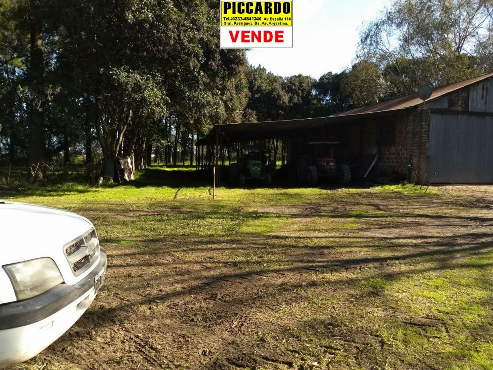 CAMPO FRACCIÓN 3 HAS CON CASAS Y GALPONES EN VENTA SOBRE RUTA 24 REF.1393 ZONA INDUSTRIAL. GRAL. RODRÍGUEZ PICCARDO — foto 14